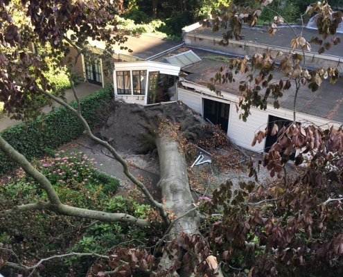 Bovenaanzicht stormschade tuinhuis Amsterdam